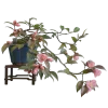 🤩 Эмодзи «๑ Decor» для Telegram