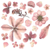 🤩 Эмодзи «๑ Decor» для Telegram