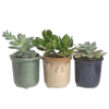 🤩 Эмодзи «๑ Decor» для Telegram