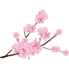 🌸 Эмодзи «Japan Vibe» для Telegram