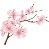 🤩 Эмодзи «Japan Vibe» для Telegram