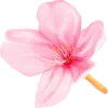 🌸 Эмодзи «Japan Vibe» для Telegram