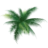 🤩 Эмодзи «Jungle» для Telegram