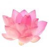 🤩 Эмодзи «Jungle» для Telegram