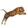 🤩 Эмодзи «Jungle» для Telegram