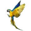 🤩 Эмодзи «Jungle» для Telegram