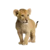 🤩 Эмодзи «Jungle» для Telegram