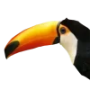🤩 Эмодзи «Jungle» для Telegram