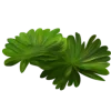 🤩 Эмодзи «Jungle» для Telegram