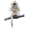 🤩 Эмодзи «Jungle» для Telegram