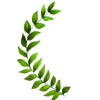 🤩 Эмодзи «Jungle» для Telegram