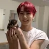 🌟 Эмодзи «Jungwon ー» для Telegram