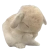🐰 Эмодзи «Jungwon ー» для Telegram