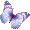 🦋 Эмодзи «Status Emoji ♕ ()» для Telegram