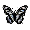 🦋 Эмодзи «Status Emoji ♕ ()» для Telegram