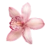 🌟 Эмодзи «Интерны #other #mem» для Telegram