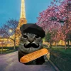 🤩 Эмодзи «Коты премиум» для Telegram