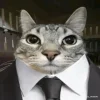 🤩 Эмодзи «Коты премиум» для Telegram