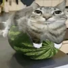 🤩 Эмодзи «Коты премиум» для Telegram