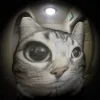🤩 Эмодзи «Коты премиум» для Telegram