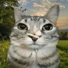 🤩 Эмодзи «Коты премиум» для Telegram