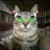 🤩 Эмодзи «Коты премиум» для Telegram