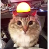 🤩 Эмодзи «Коты премиум» для Telegram