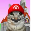 🤩 Эмодзи «Коты премиум» для Telegram