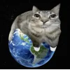 🤩 Эмодзи «Коты премиум» для Telegram