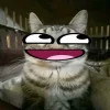 🤩 Эмодзи «Коты премиум» для Telegram