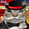 🤩 Эмодзи «Коты премиум» для Telegram