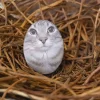 🤩 Эмодзи «Коты премиум» для Telegram