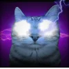 🤩 Эмодзи «Коты премиум» для Telegram
