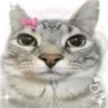 🤩 Эмодзи «Коты премиум» для Telegram