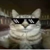 🤩 Эмодзи «Коты премиум» для Telegram