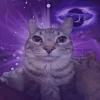 🤩 Эмодзи «Коты премиум» для Telegram