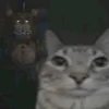 🤩 Эмодзи «Коты премиум» для Telegram