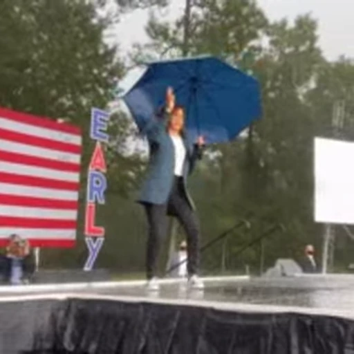 🥥 Стикер «Kamala Harris» для Telegram