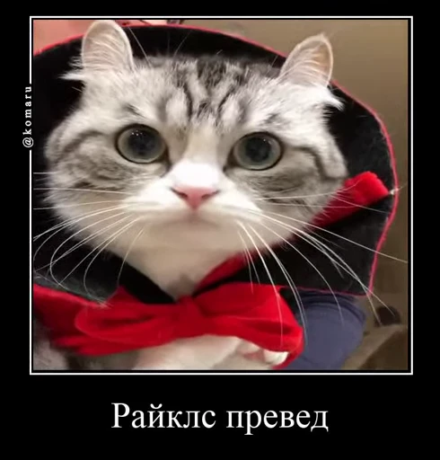 👋 Стикер «Банда камароф» для Telegram