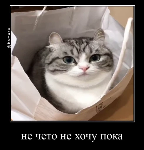 👎 Стикер «Банда камароф» для Telegram