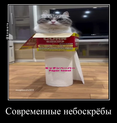 🏙 Стикер «Банда камароф» для Telegram