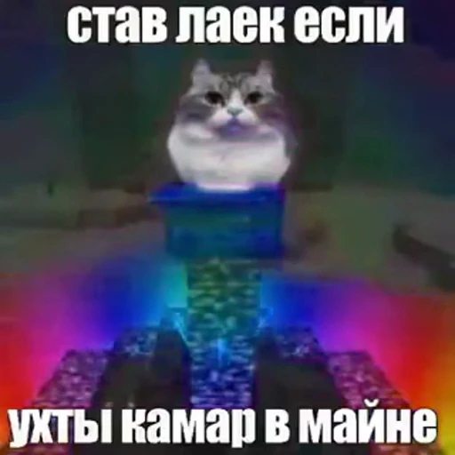 😱 Стикер «Банда камароф» для Telegram
