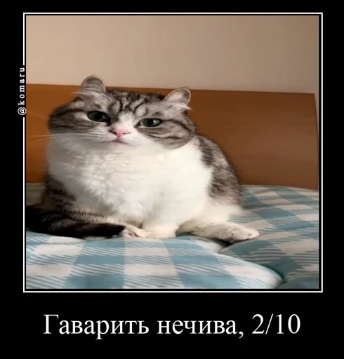 2⃣ Стикер «Банда камароф» для Telegram