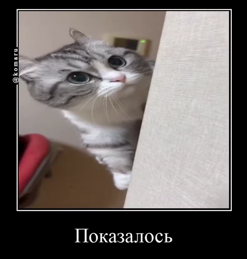 👀 Стикер «Банда камароф» для Telegram