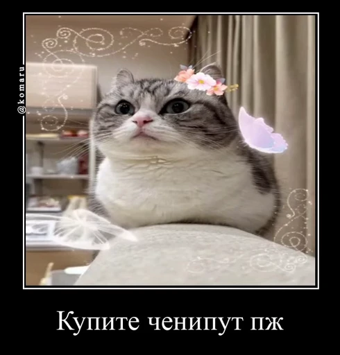 💰 Стикер «Банда камароф» для Telegram