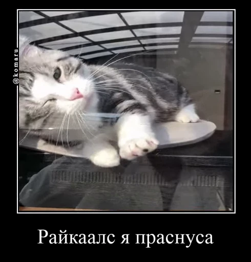 😴 Стикер «Банда камароф» для Telegram