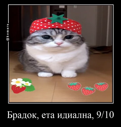 9️⃣ Стикер «Банда камароф» для Telegram