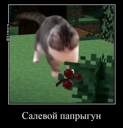 😍 Стикер «Банда камароф» для Telegram