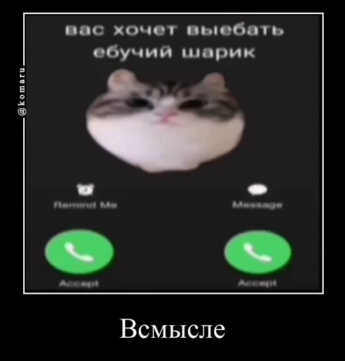 😢 Стикер «Банда камароф» для Telegram