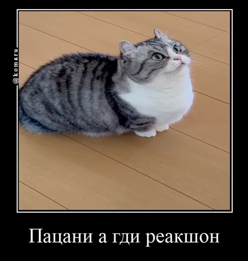 😢 Стикер «Банда камароф» для Telegram